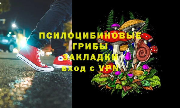 Альфа ПВП Абаза